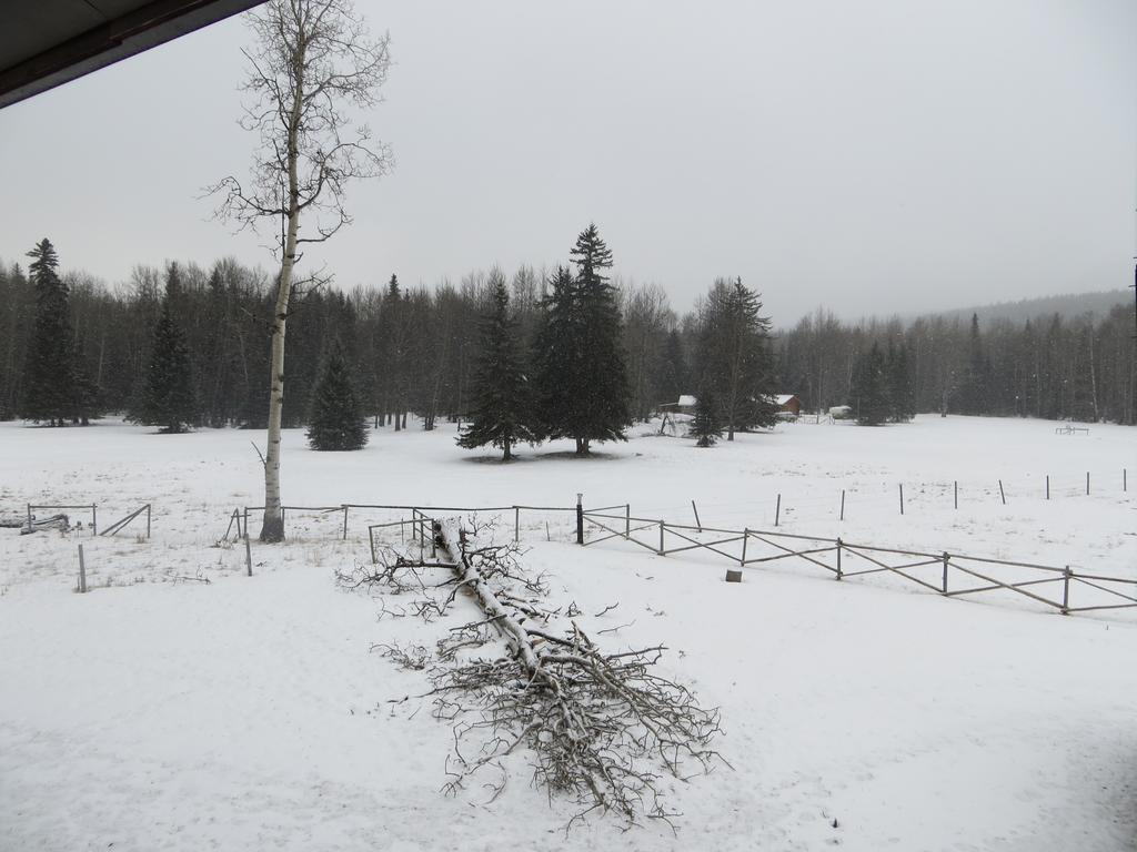 Black Cat Guest Ranch Resort Brule Mines