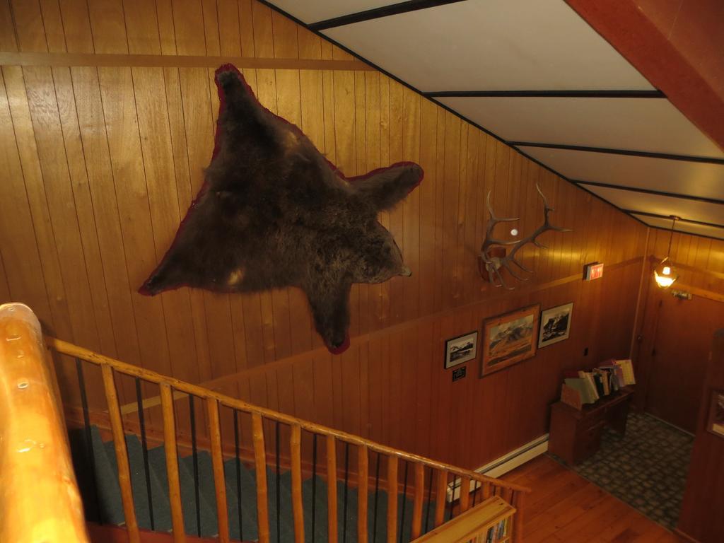 Black Cat Guest Ranch